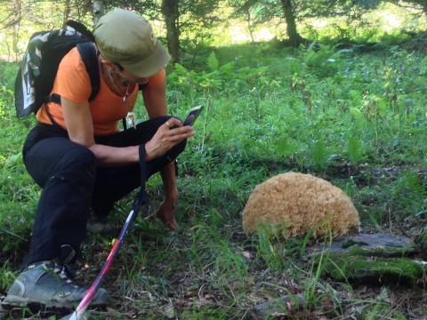 Nicole inspecting what we can only identitfy as an alien mushroom.